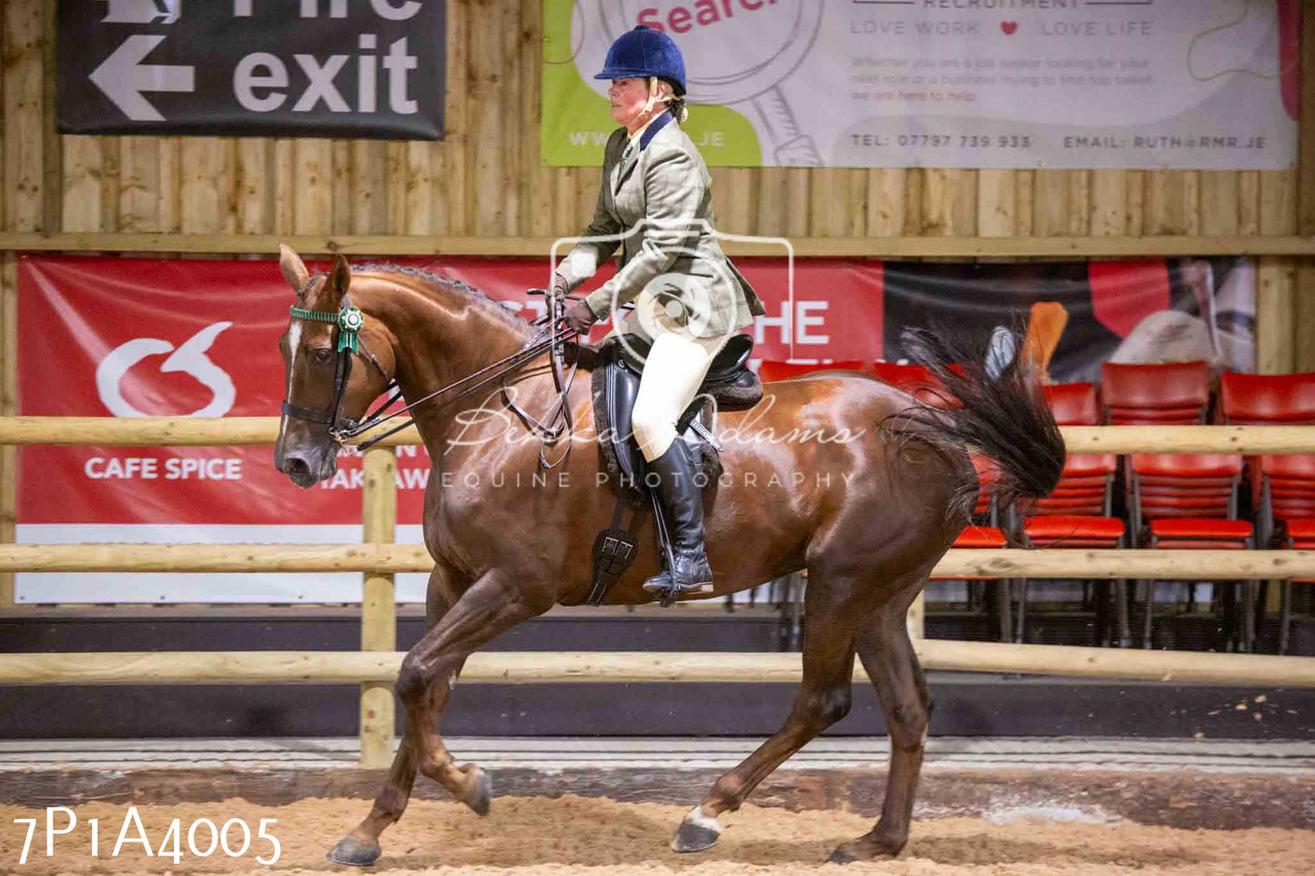 Home Farm Funshine Show 2024 - Ridden Showing 15th September pt2