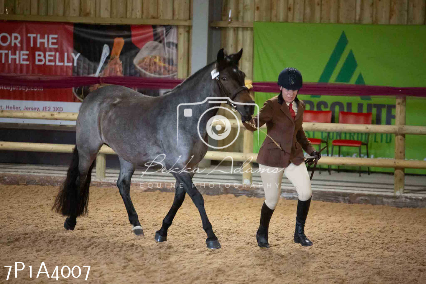 JHOYS 2023 - 9th September - Inhand Showing Pt 1