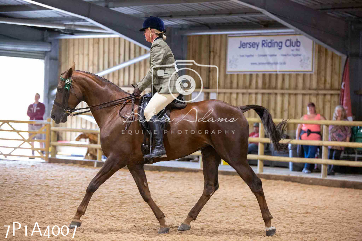 Home Farm Funshine Show 2024 - Ridden Showing 15th September pt2