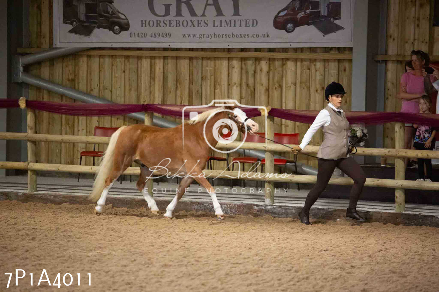 JHOYS 2023 - 9th September - Inhand Showing Pt 1