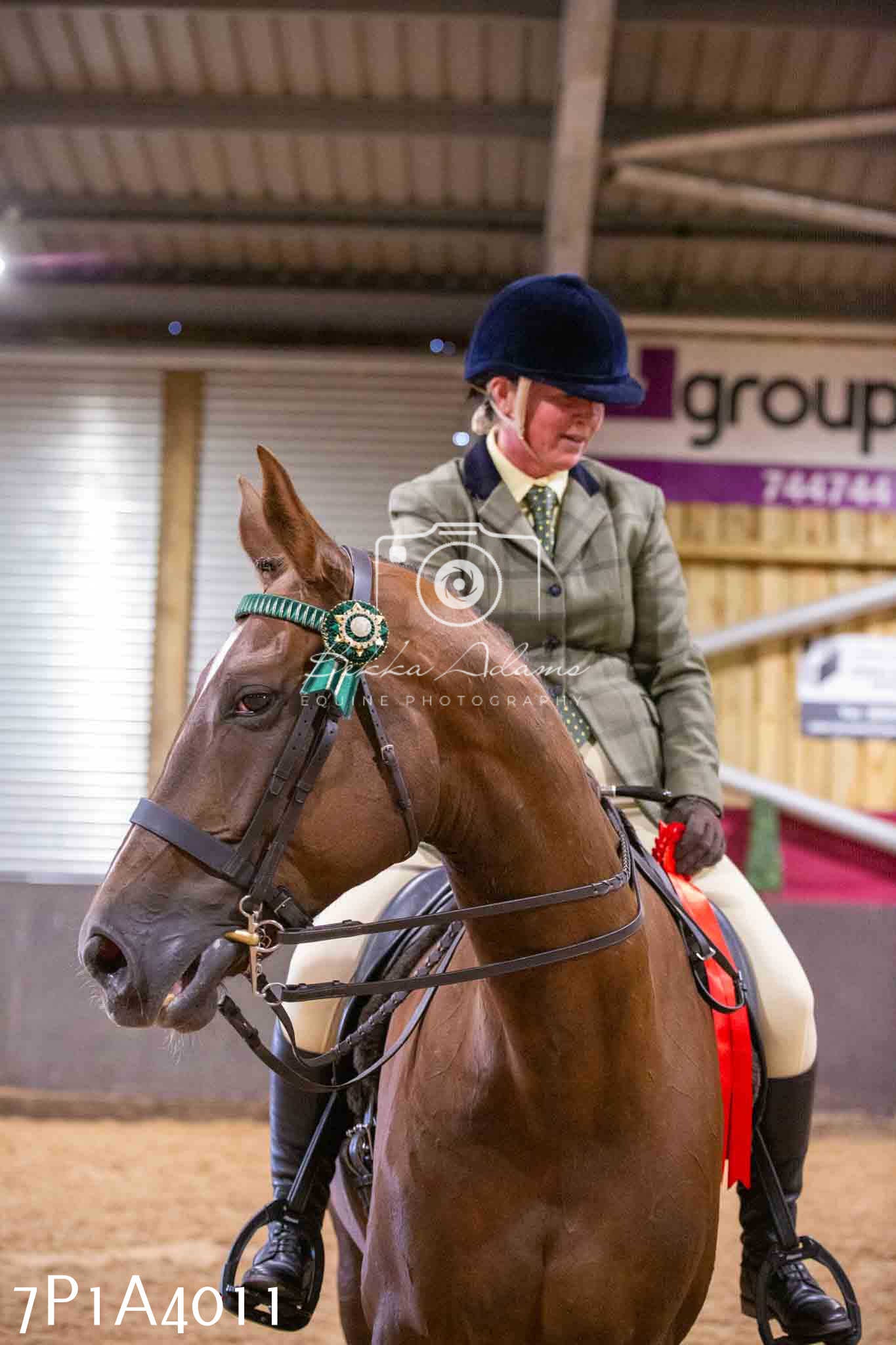 Home Farm Funshine Show 2024 - Ridden Showing 15th September pt2