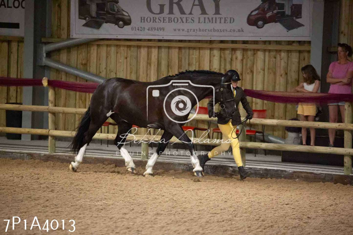 JHOYS 2023 - 9th September - Inhand Showing Pt 1