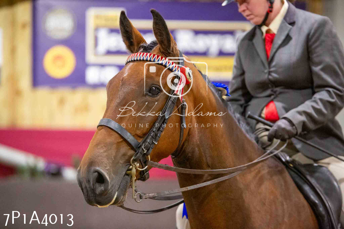 Home Farm Funshine Show 2024 - Ridden Showing 15th September pt2