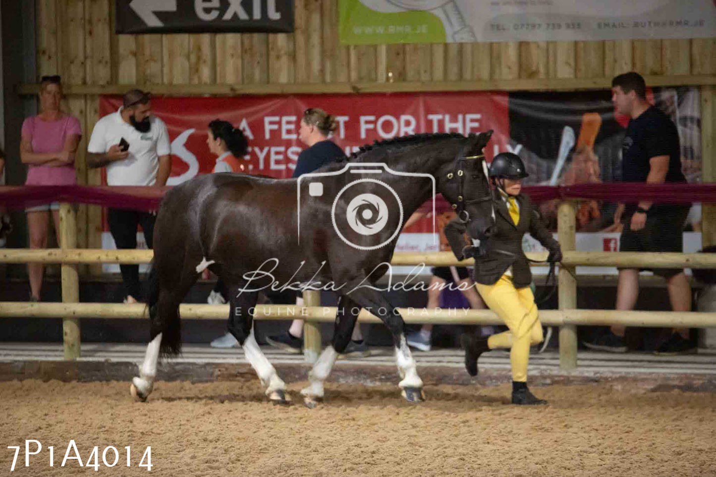 JHOYS 2023 - 9th September - Inhand Showing Pt 1