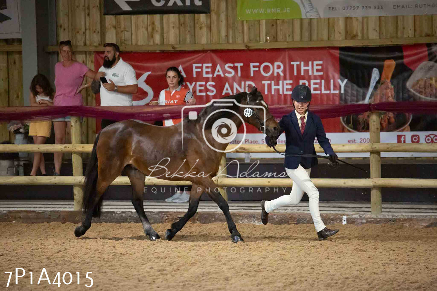 JHOYS 2023 - 9th September - Inhand Showing Pt 1