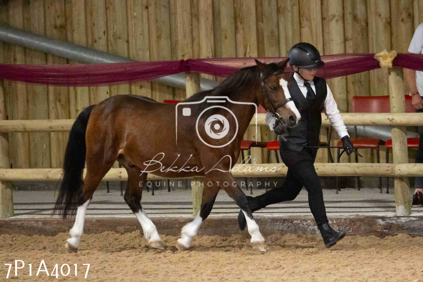 JHOYS 2023 - 9th September - Inhand Showing Pt 1