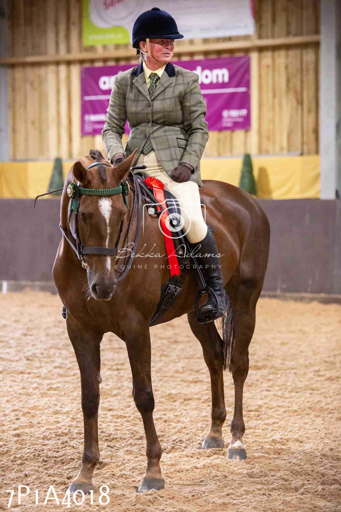 Home Farm Funshine Show 2024 - Ridden Showing 15th September pt2