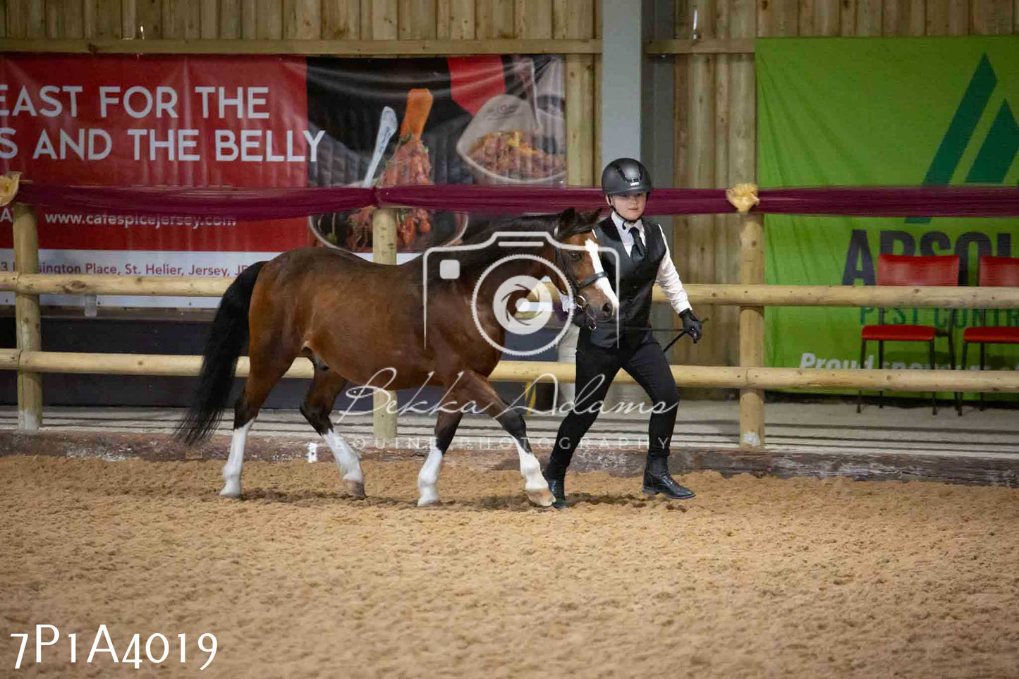 JHOYS 2023 - 9th September - Inhand Showing Pt 1