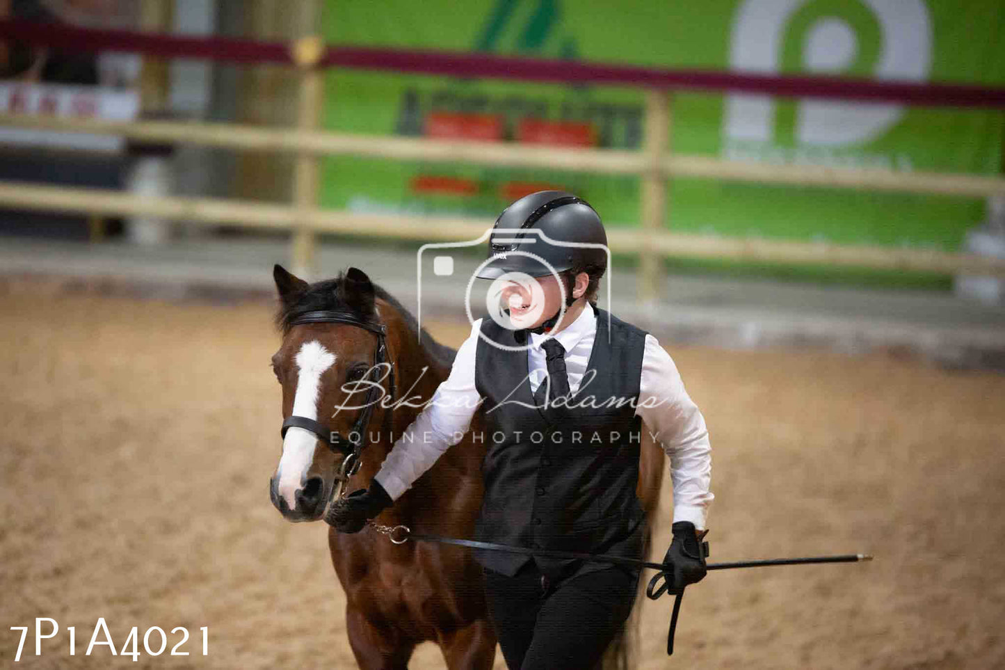 JHOYS 2023 - 9th September - Inhand Showing Pt 1