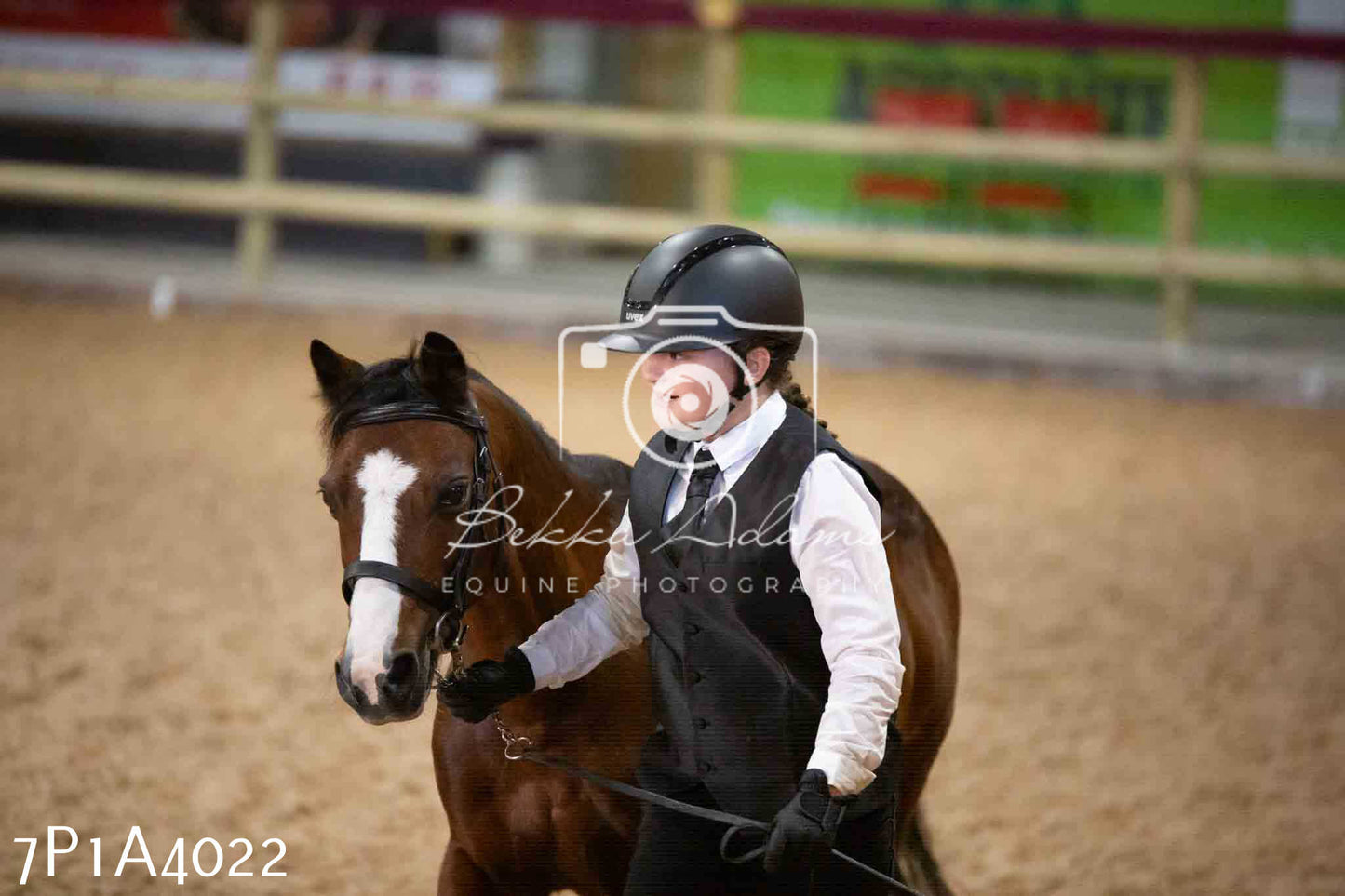 JHOYS 2023 - 9th September - Inhand Showing Pt 1
