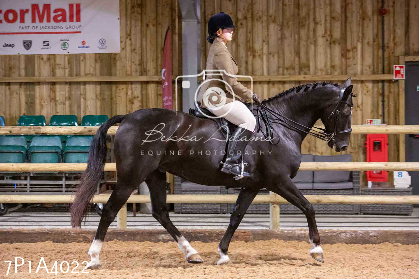 Home Farm Funshine Show 2024 - Ridden Showing 15th September pt2