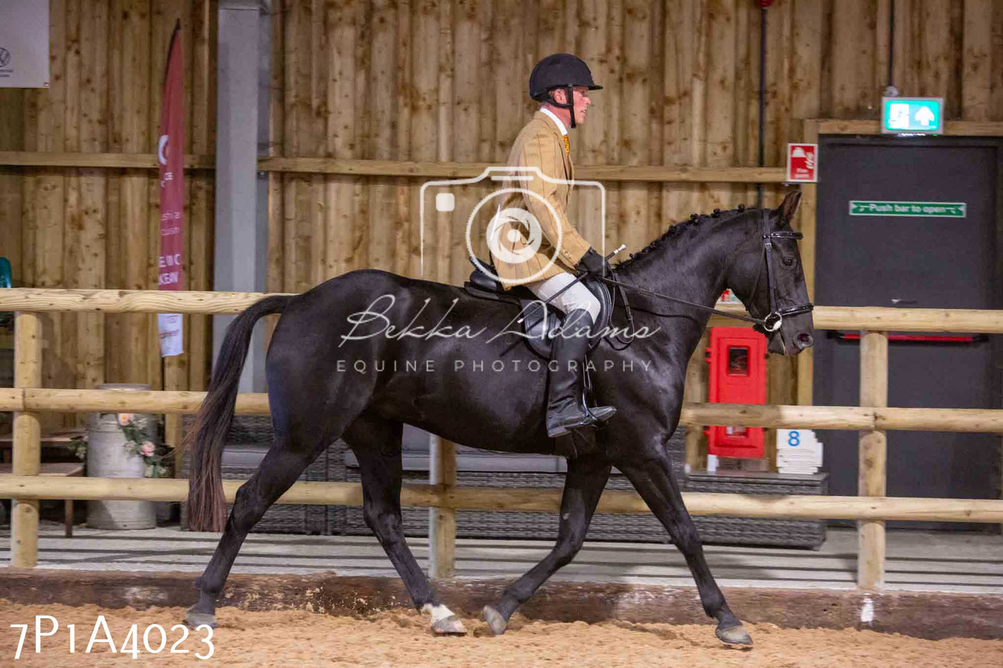 Home Farm Funshine Show 2024 - Ridden Showing 15th September pt2