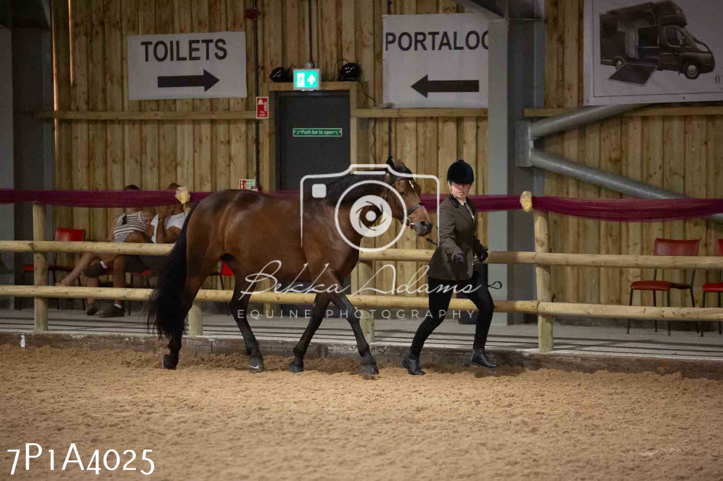 JHOYS 2023 - 9th September - Inhand Showing Pt 1