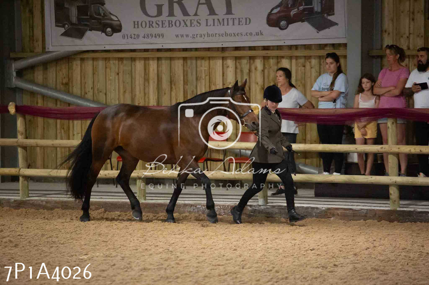JHOYS 2023 - 9th September - Inhand Showing Pt 1