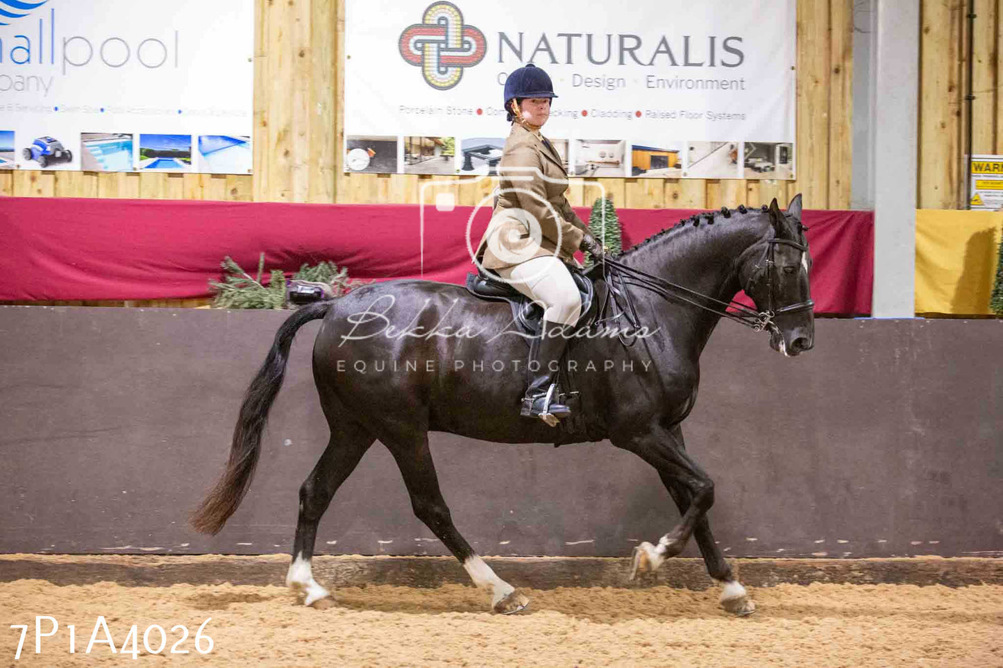 Home Farm Funshine Show 2024 - Ridden Showing 15th September pt2