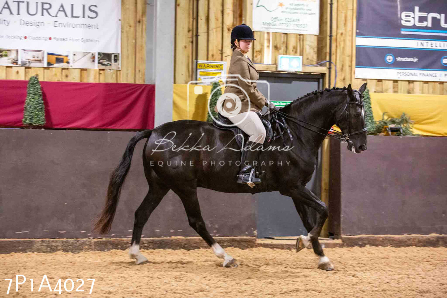 Home Farm Funshine Show 2024 - Ridden Showing 15th September pt2