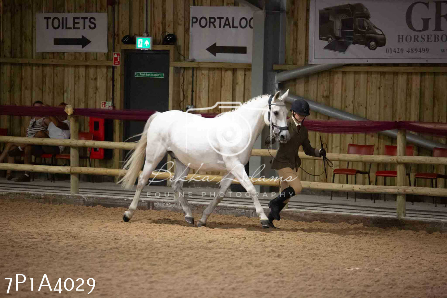 JHOYS 2023 - 9th September - Inhand Showing Pt 1
