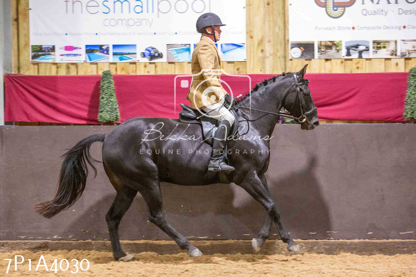 Home Farm Funshine Show 2024 - Ridden Showing 15th September pt2