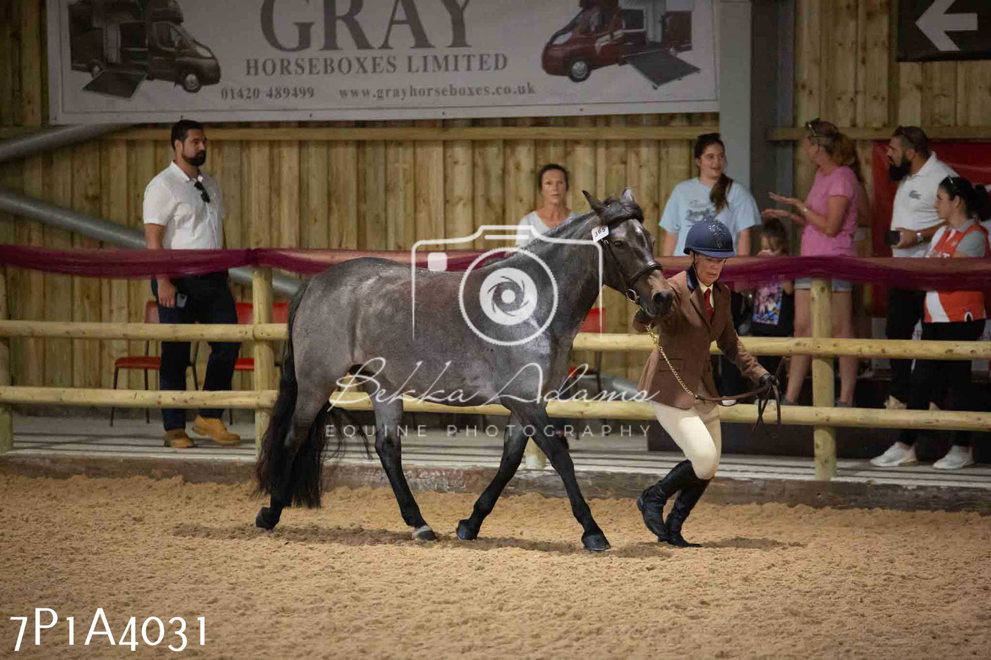 JHOYS 2023 - 9th September - Inhand Showing Pt 1