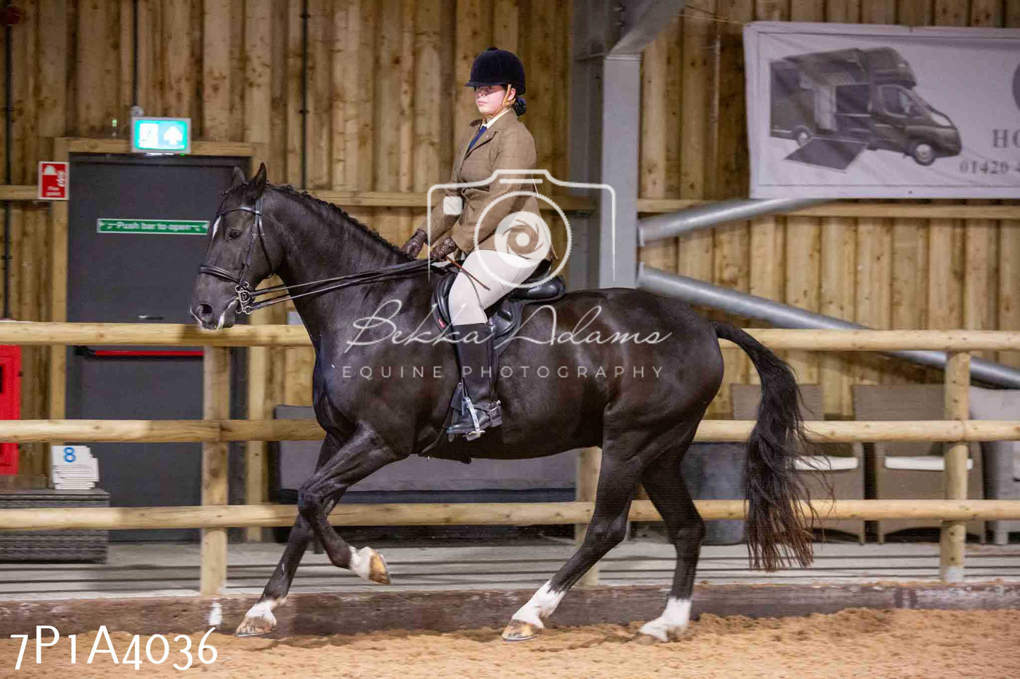 Home Farm Funshine Show 2024 - Ridden Showing 15th September pt2