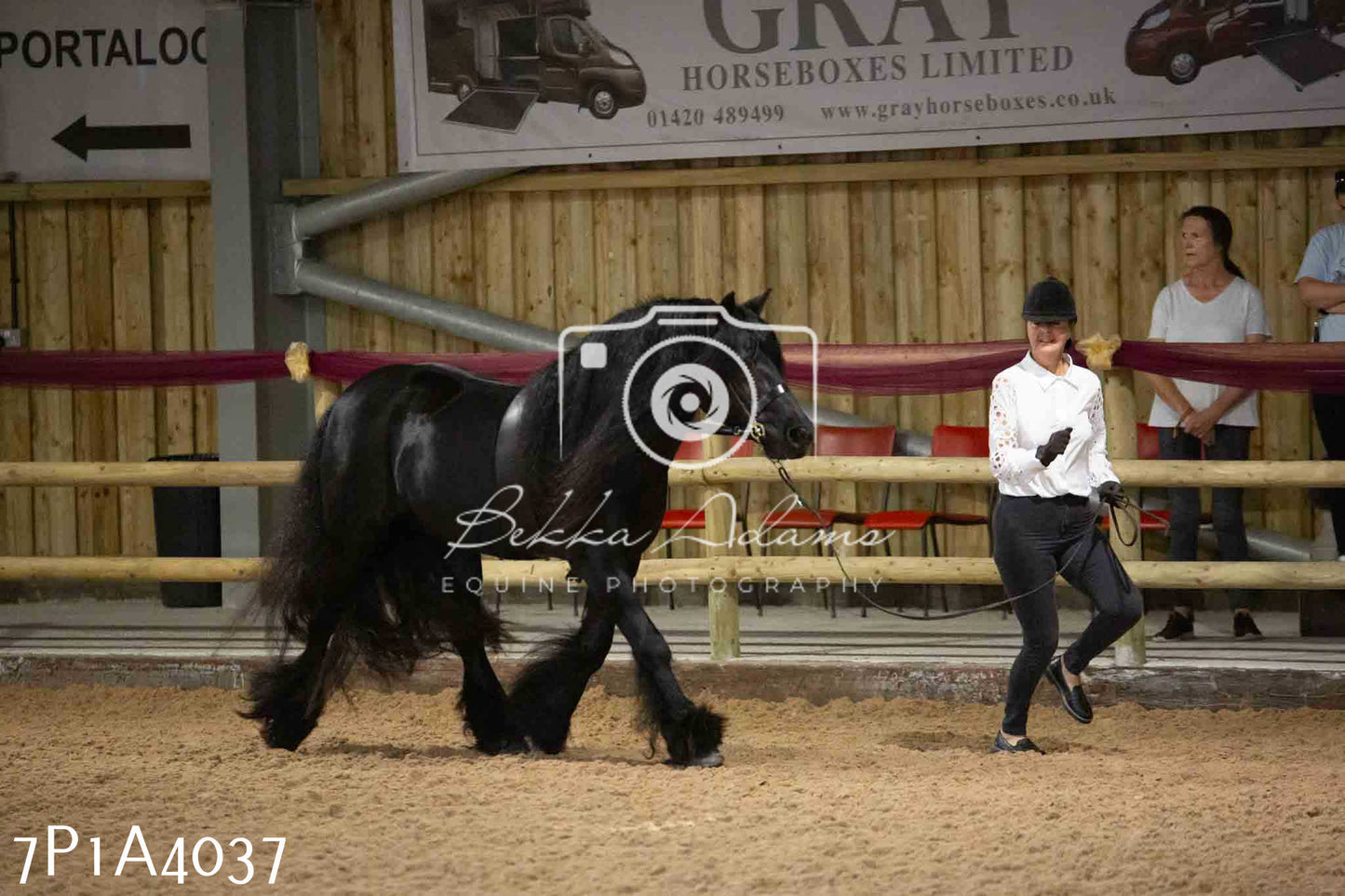 JHOYS 2023 - 9th September - Inhand Showing Pt 1