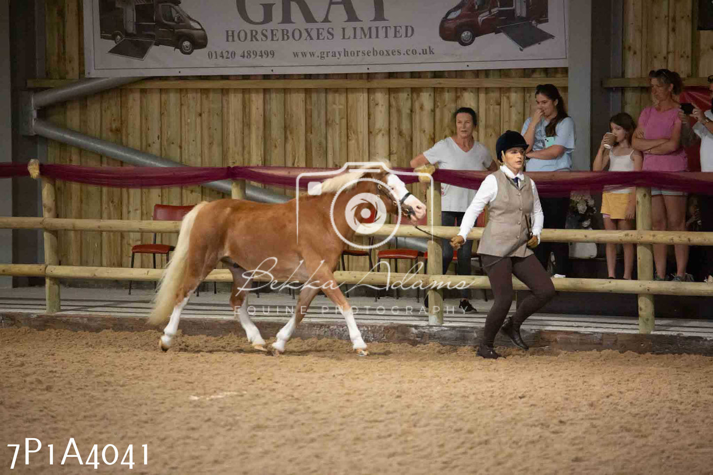JHOYS 2023 - 9th September - Inhand Showing Pt 1