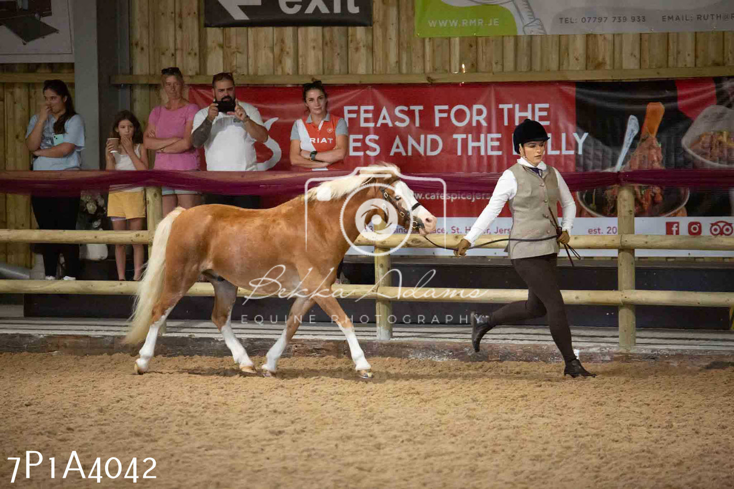 JHOYS 2023 - 9th September - Inhand Showing Pt 1