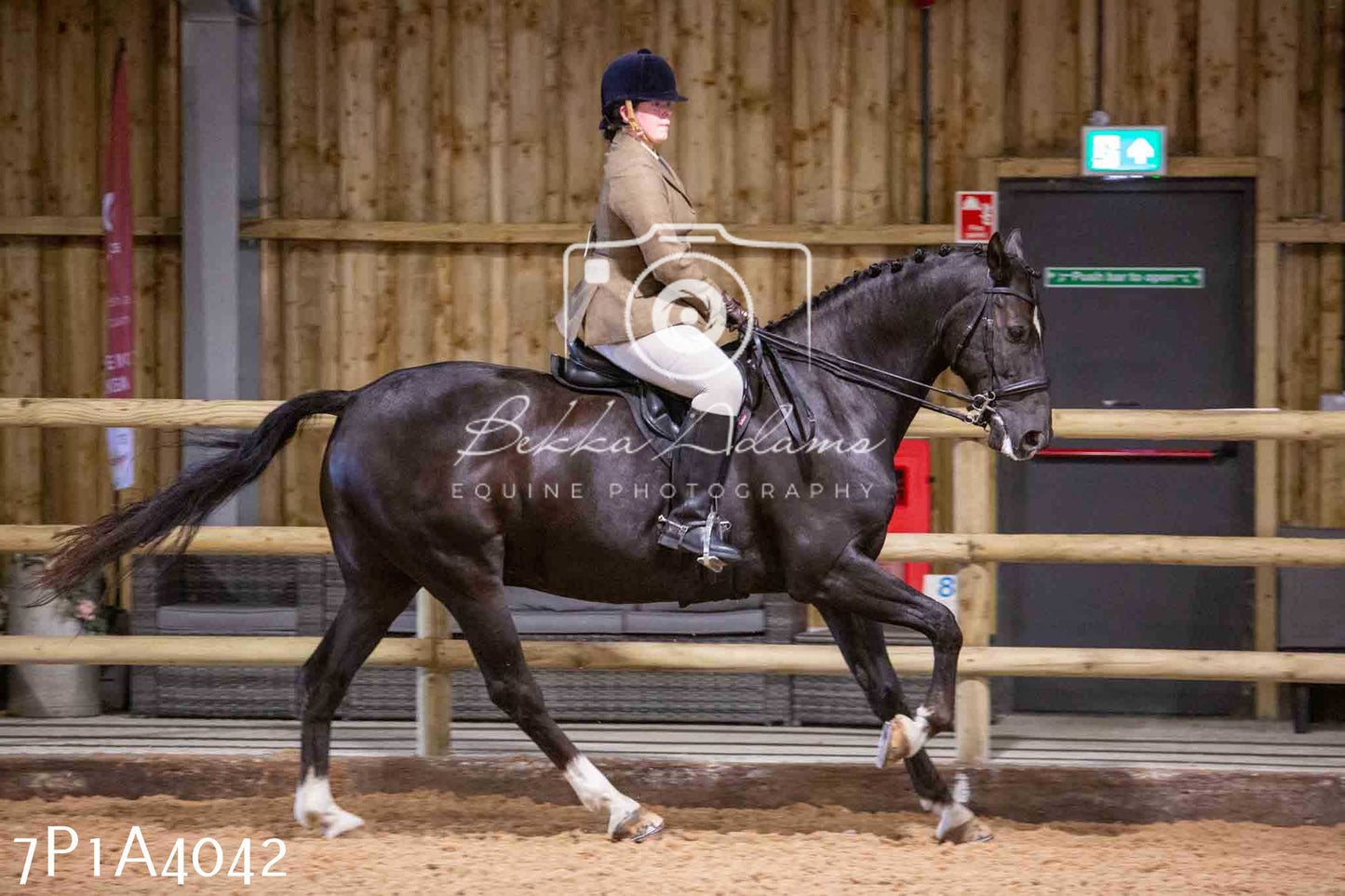 Home Farm Funshine Show 2024 - Ridden Showing 15th September pt2