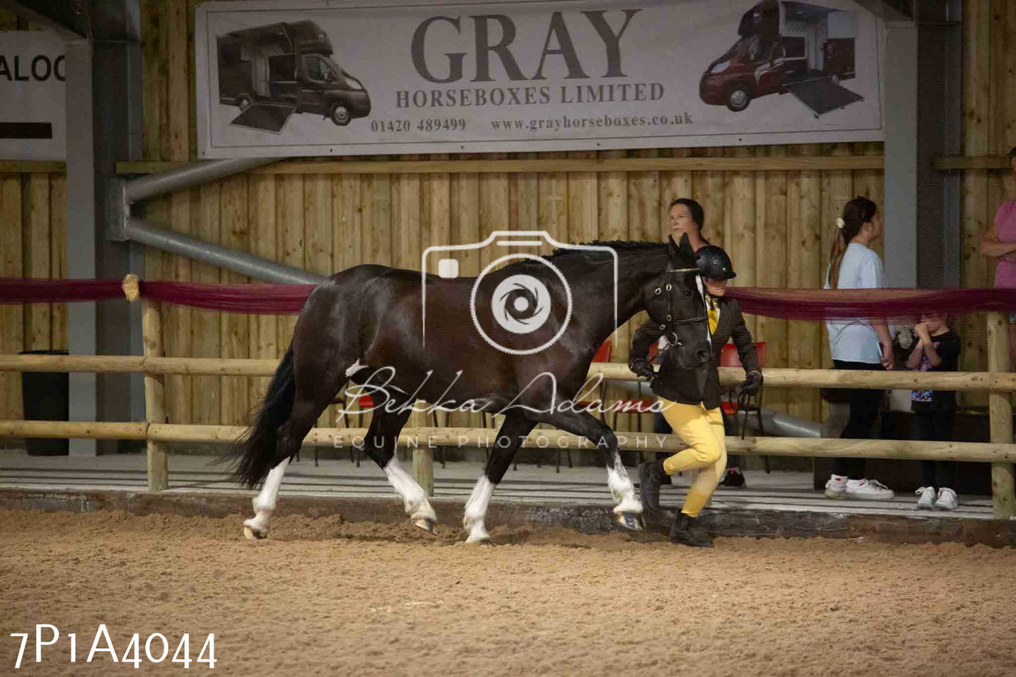 JHOYS 2023 - 9th September - Inhand Showing Pt 1