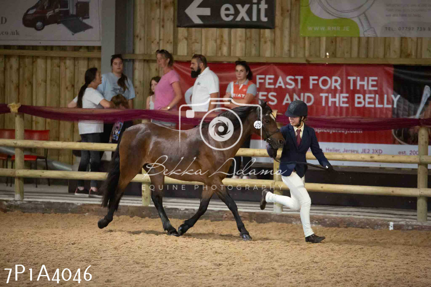 JHOYS 2023 - 9th September - Inhand Showing Pt 1