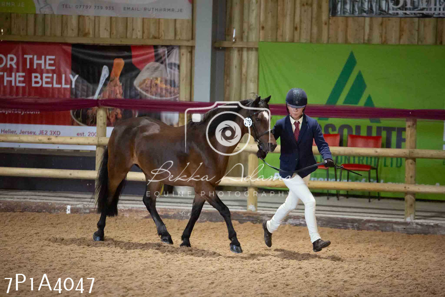 JHOYS 2023 - 9th September - Inhand Showing Pt 1
