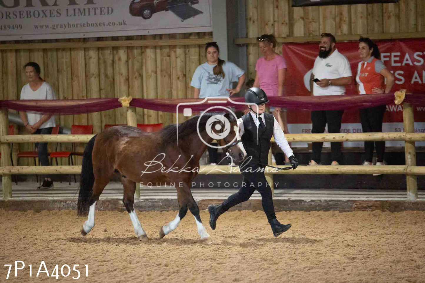JHOYS 2023 - 9th September - Inhand Showing Pt 1