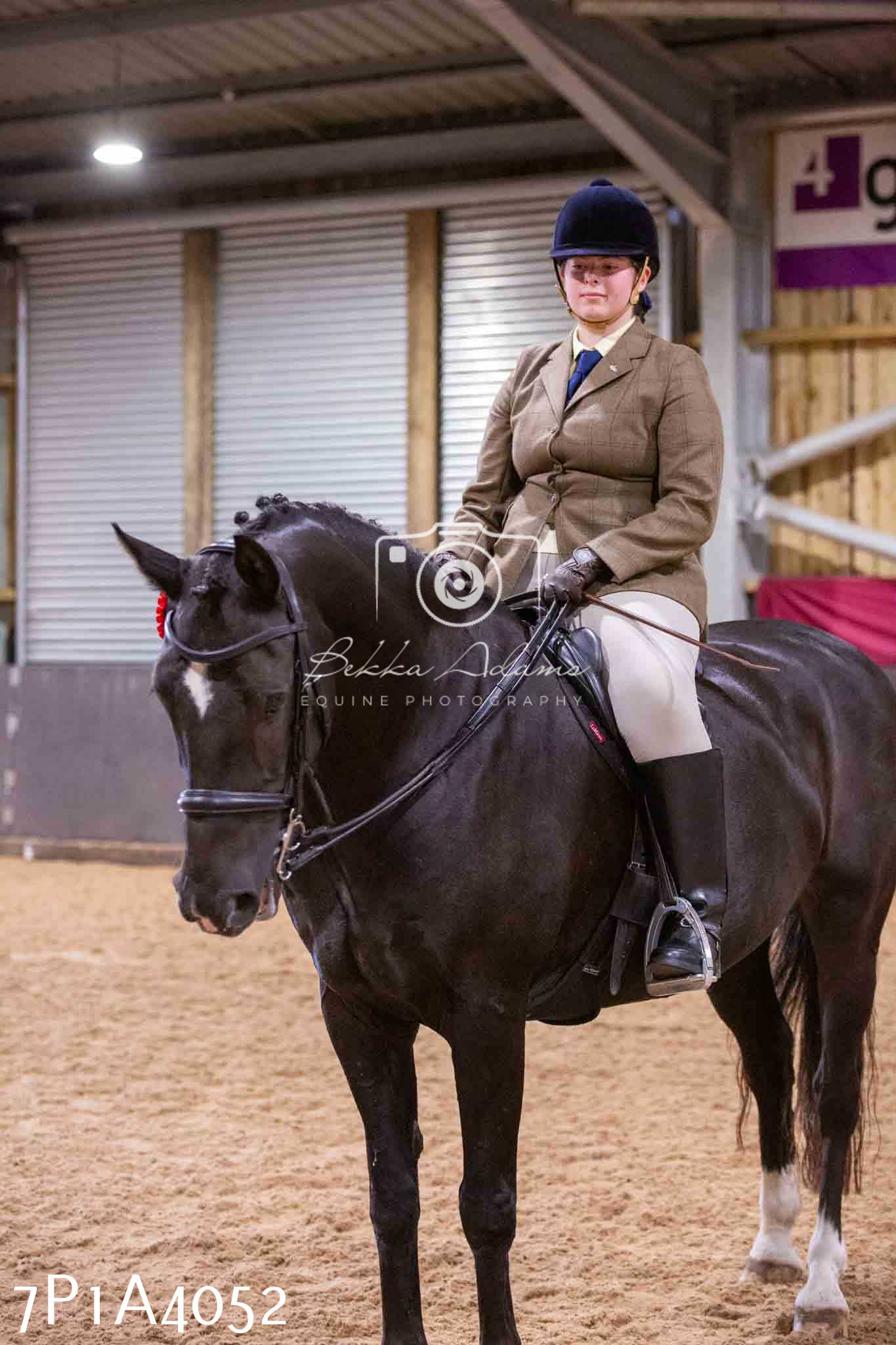 Home Farm Funshine Show 2024 - Ridden Showing 15th September pt2