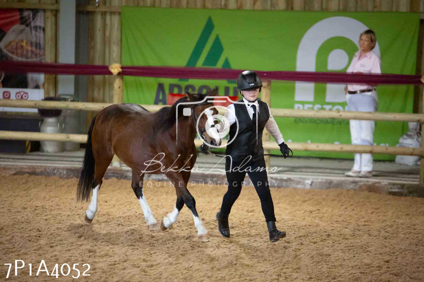 JHOYS 2023 - 9th September - Inhand Showing Pt 1