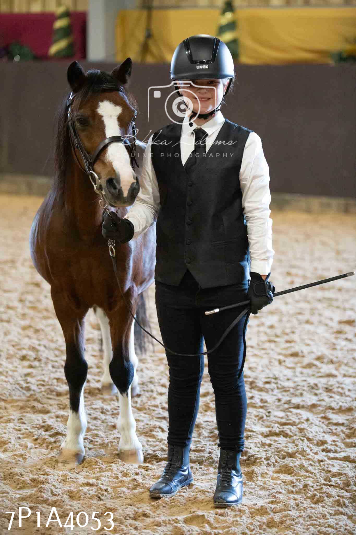 JHOYS 2023 - 9th September - Inhand Showing Pt 1