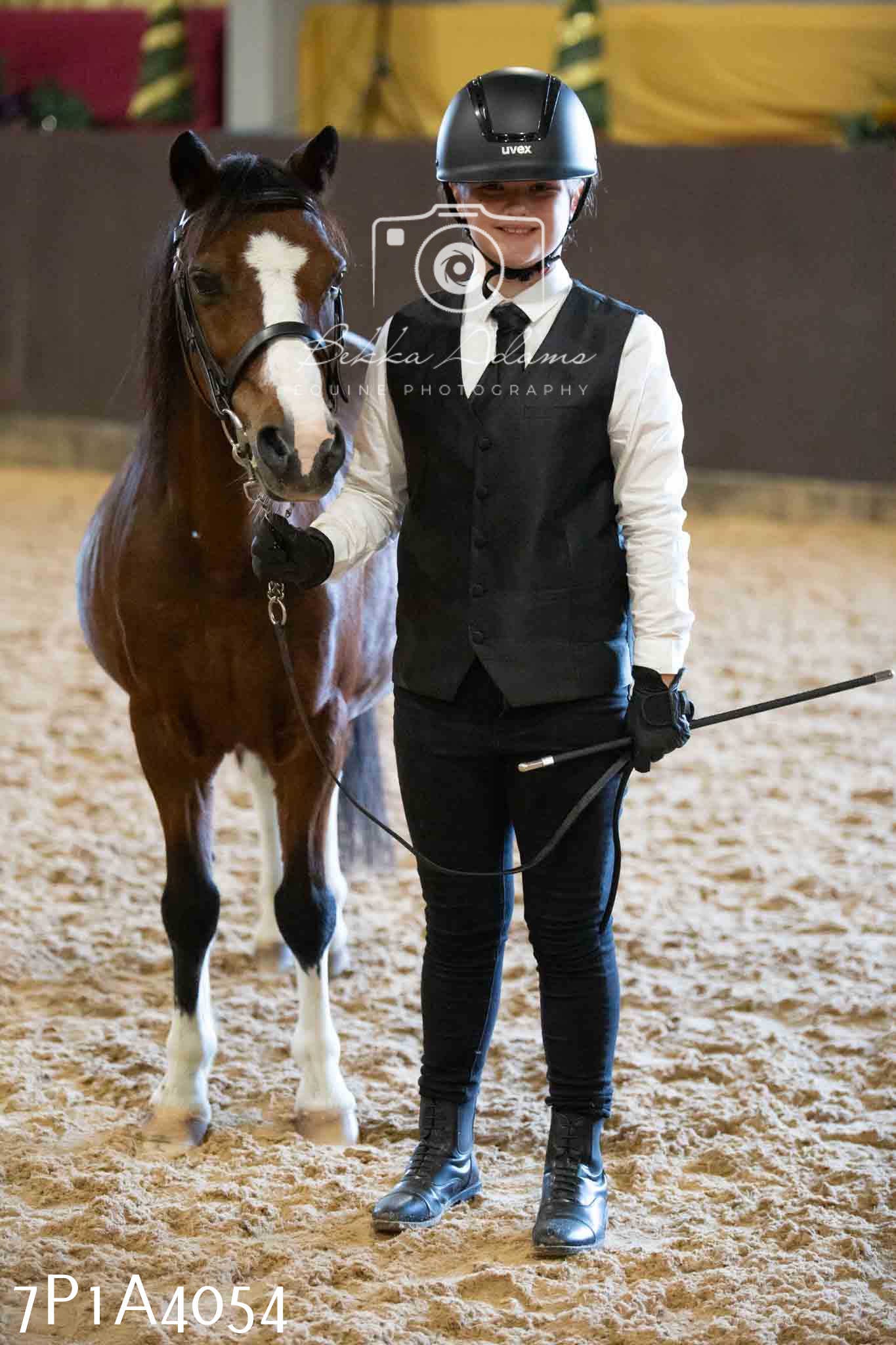 JHOYS 2023 - 9th September - Inhand Showing Pt 1