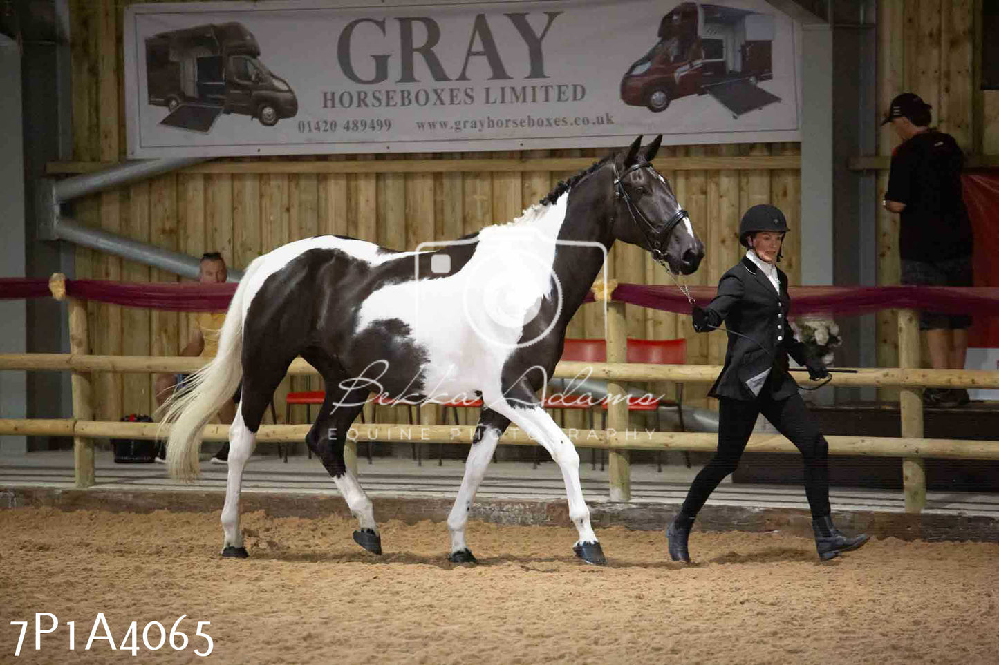 JHOYS 2023 - 9th September - Inhand Showing Pt 1