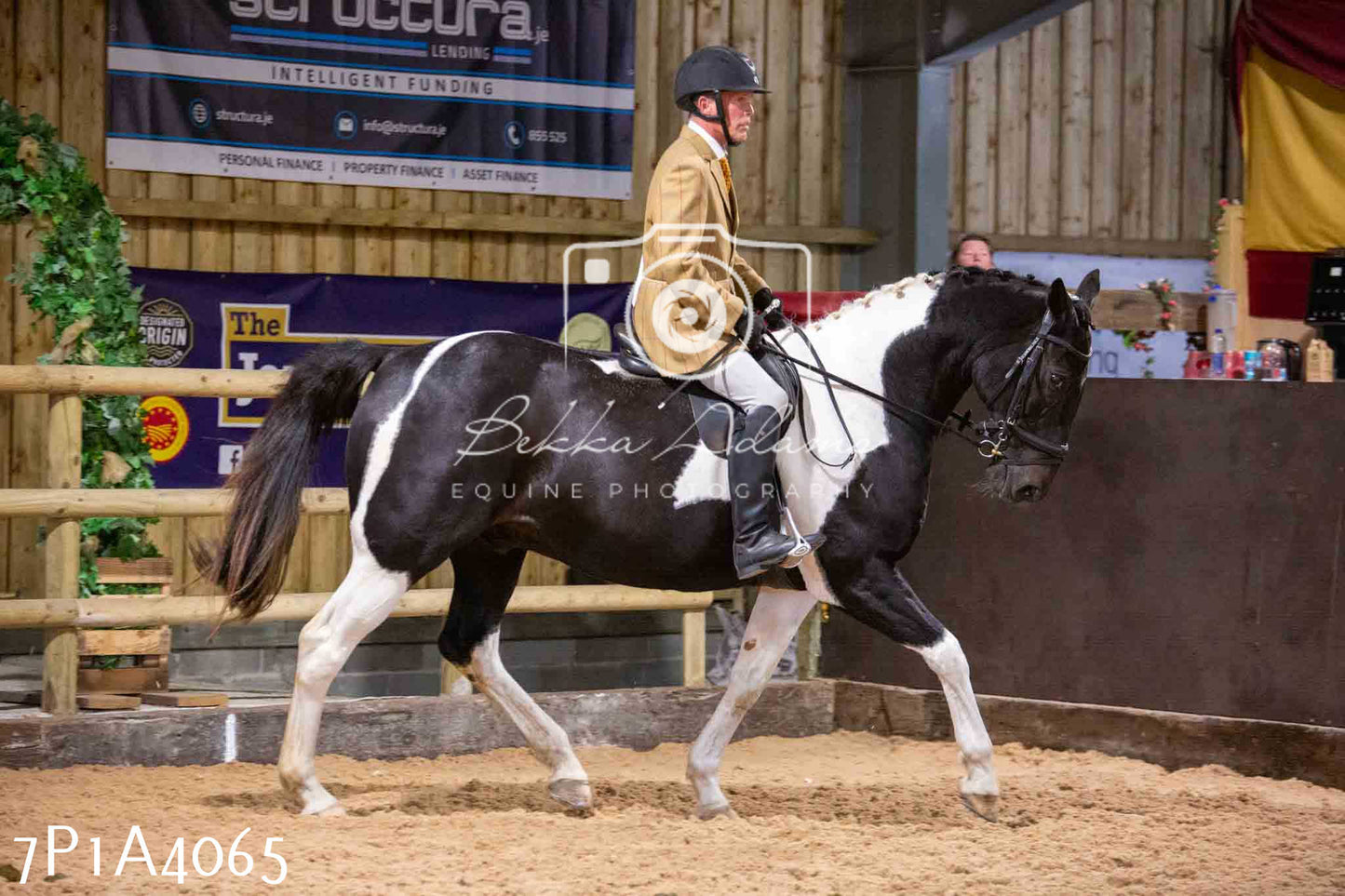 Home Farm Funshine Show 2024 - Ridden Showing 15th September pt2