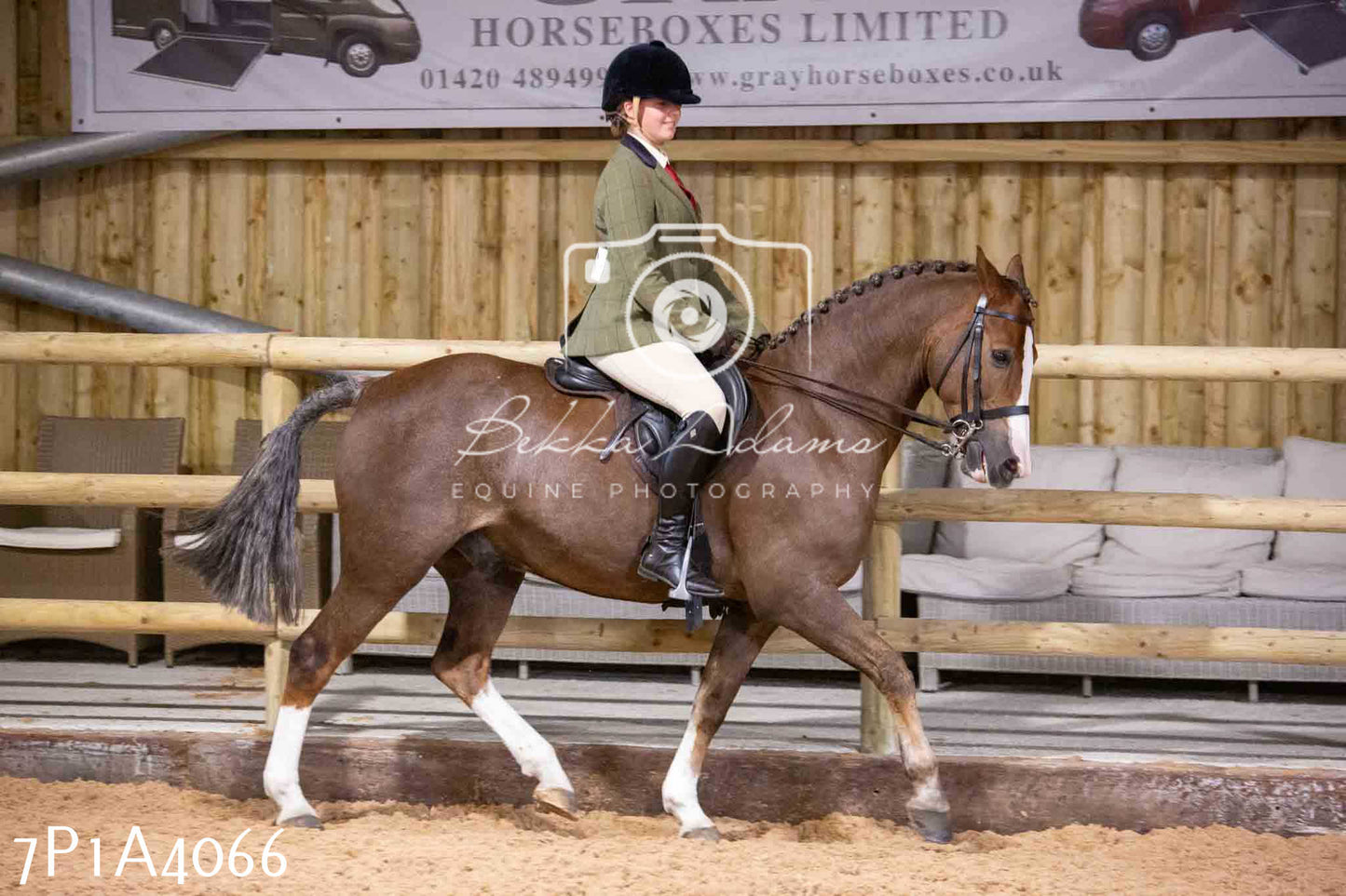 Home Farm Funshine Show 2024 - Ridden Showing 15th September pt2