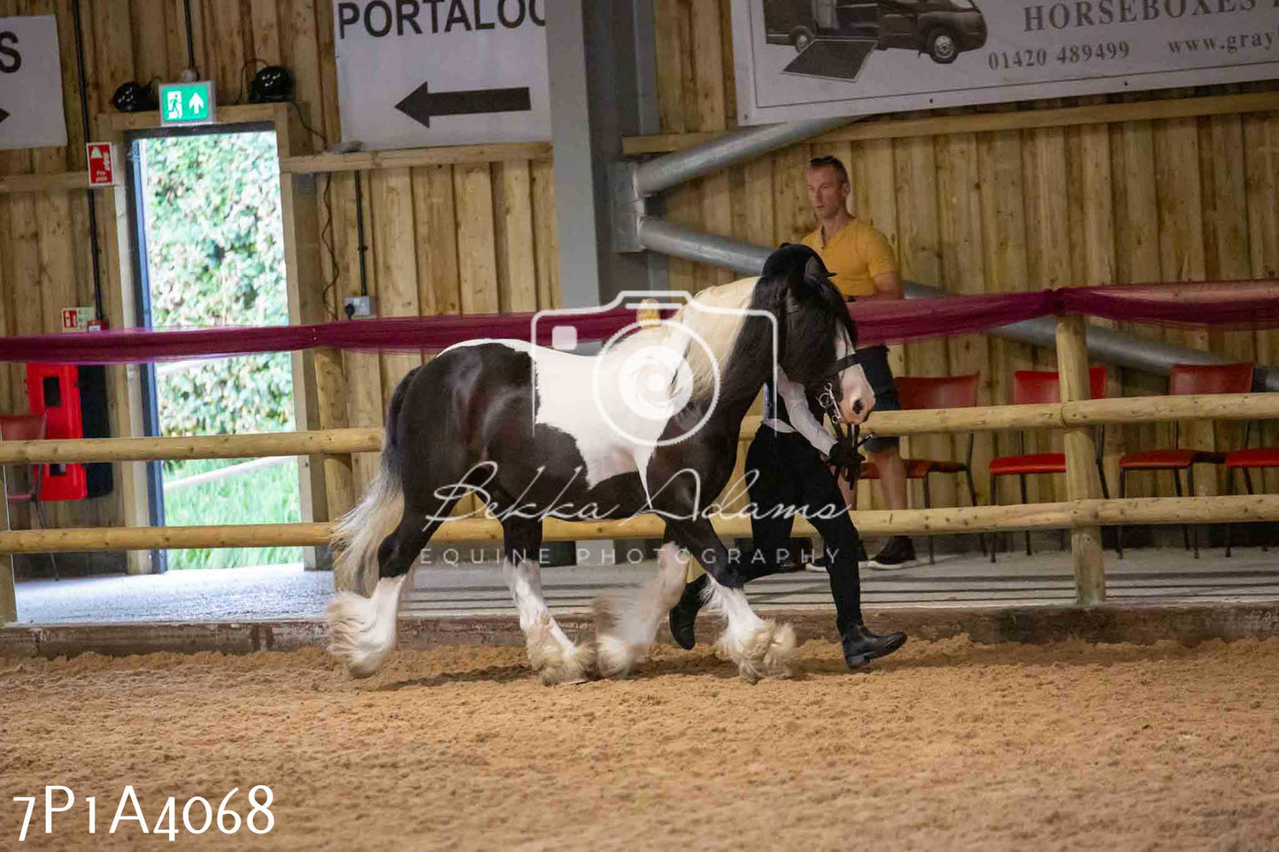 JHOYS 2023 - 9th September - Inhand Showing Pt 1