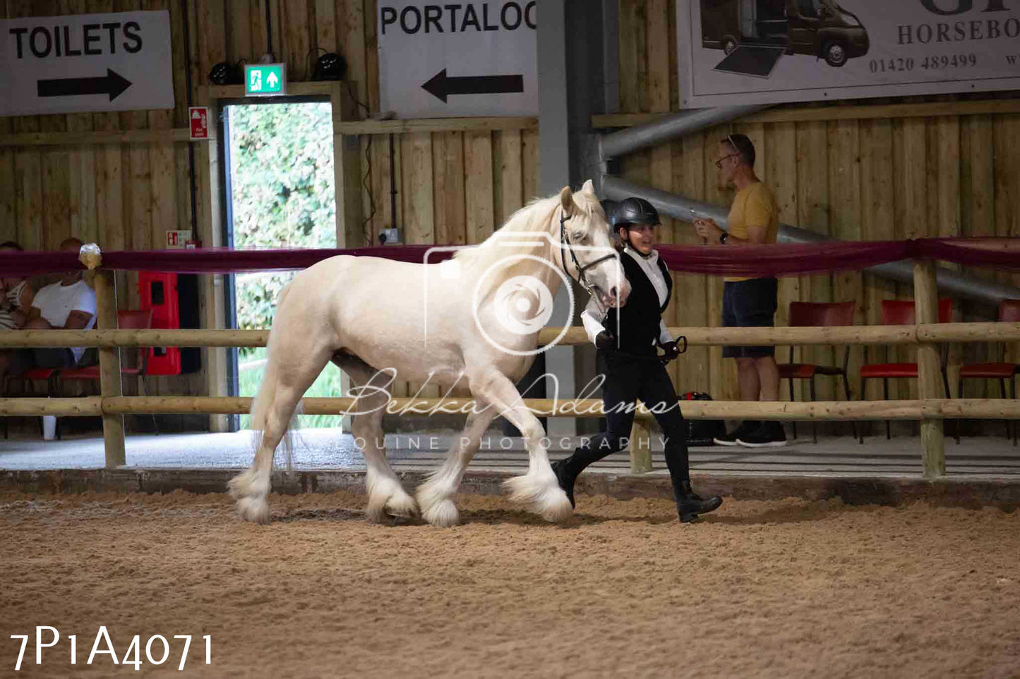 JHOYS 2023 - 9th September - Inhand Showing Pt 1