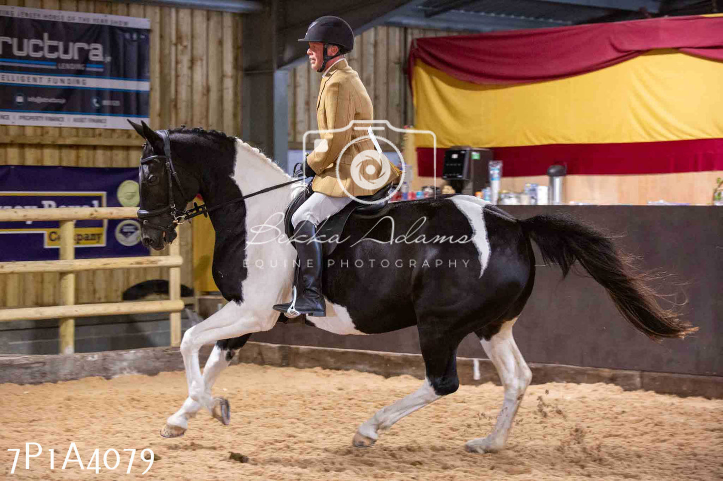 Home Farm Funshine Show 2024 - Ridden Showing 15th September pt2
