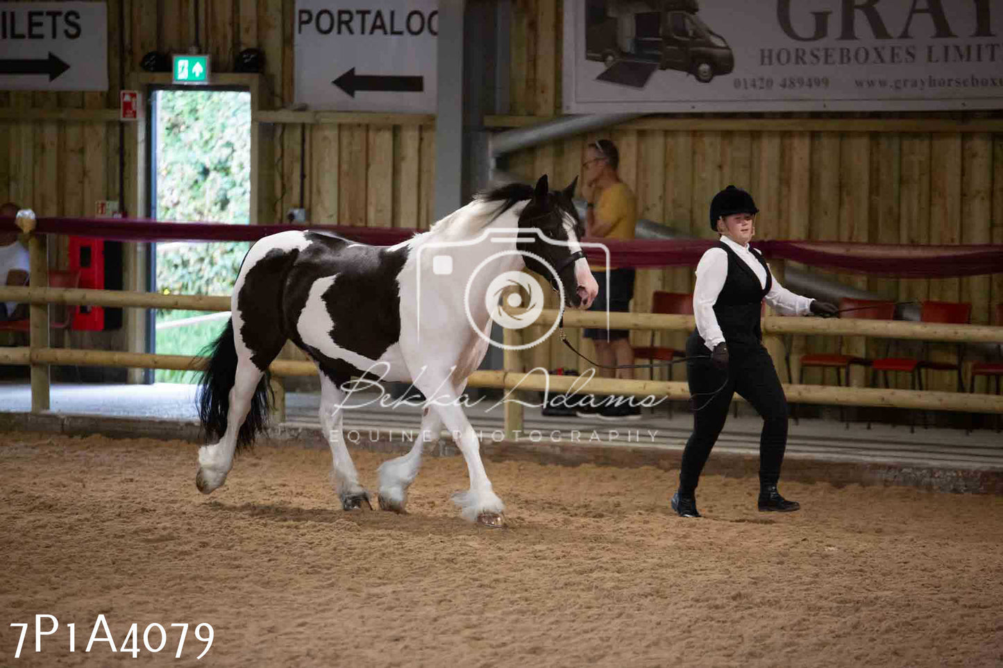 JHOYS 2023 - 9th September - Inhand Showing Pt 1