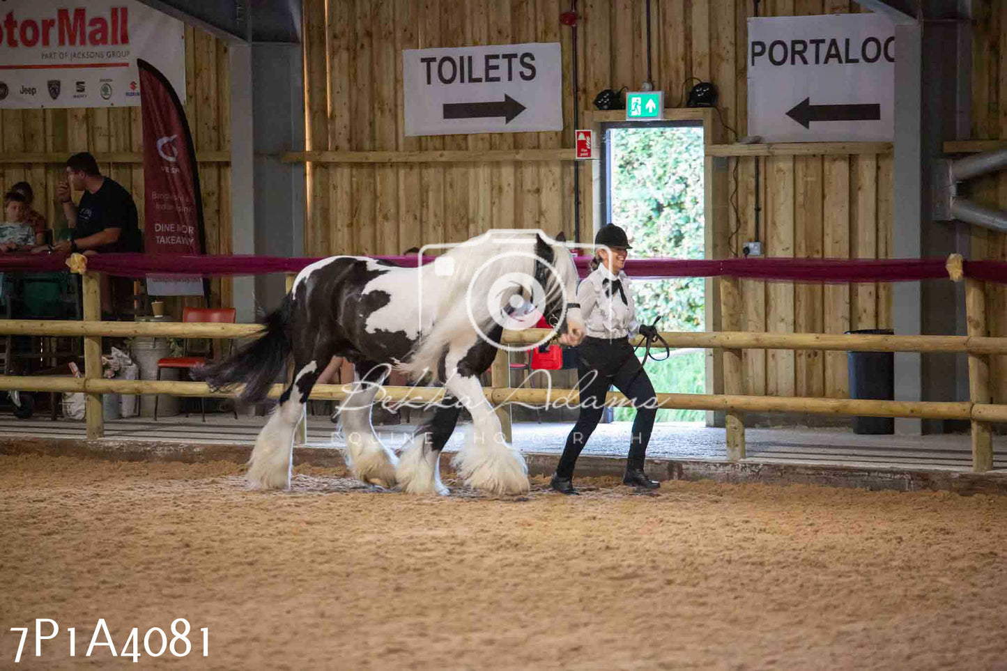 JHOYS 2023 - 9th September - Inhand Showing Pt 1