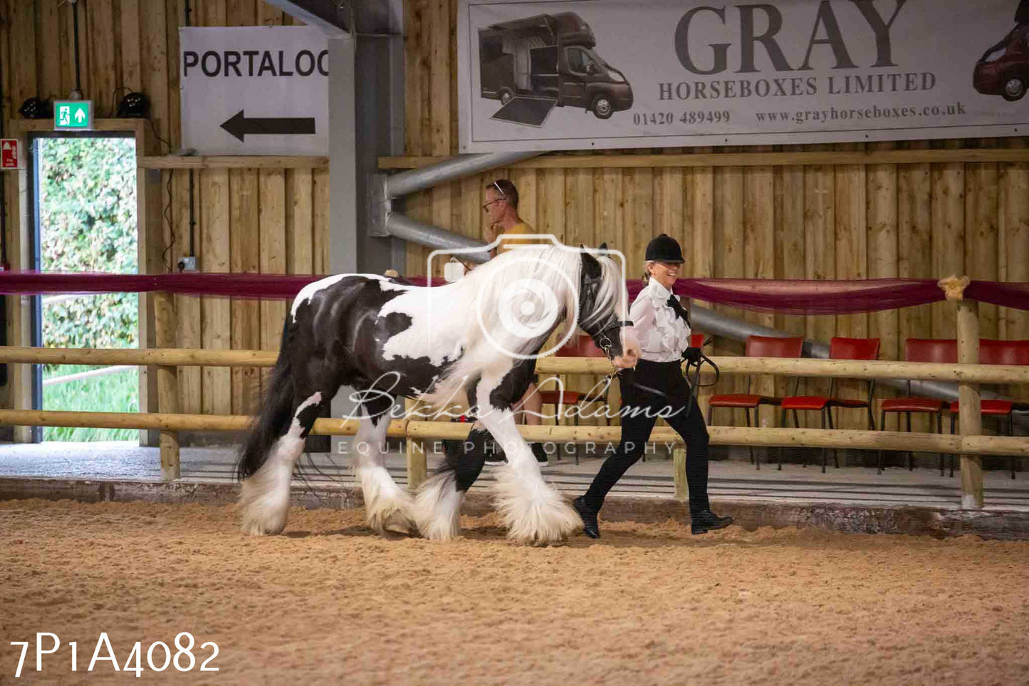 JHOYS 2023 - 9th September - Inhand Showing Pt 1