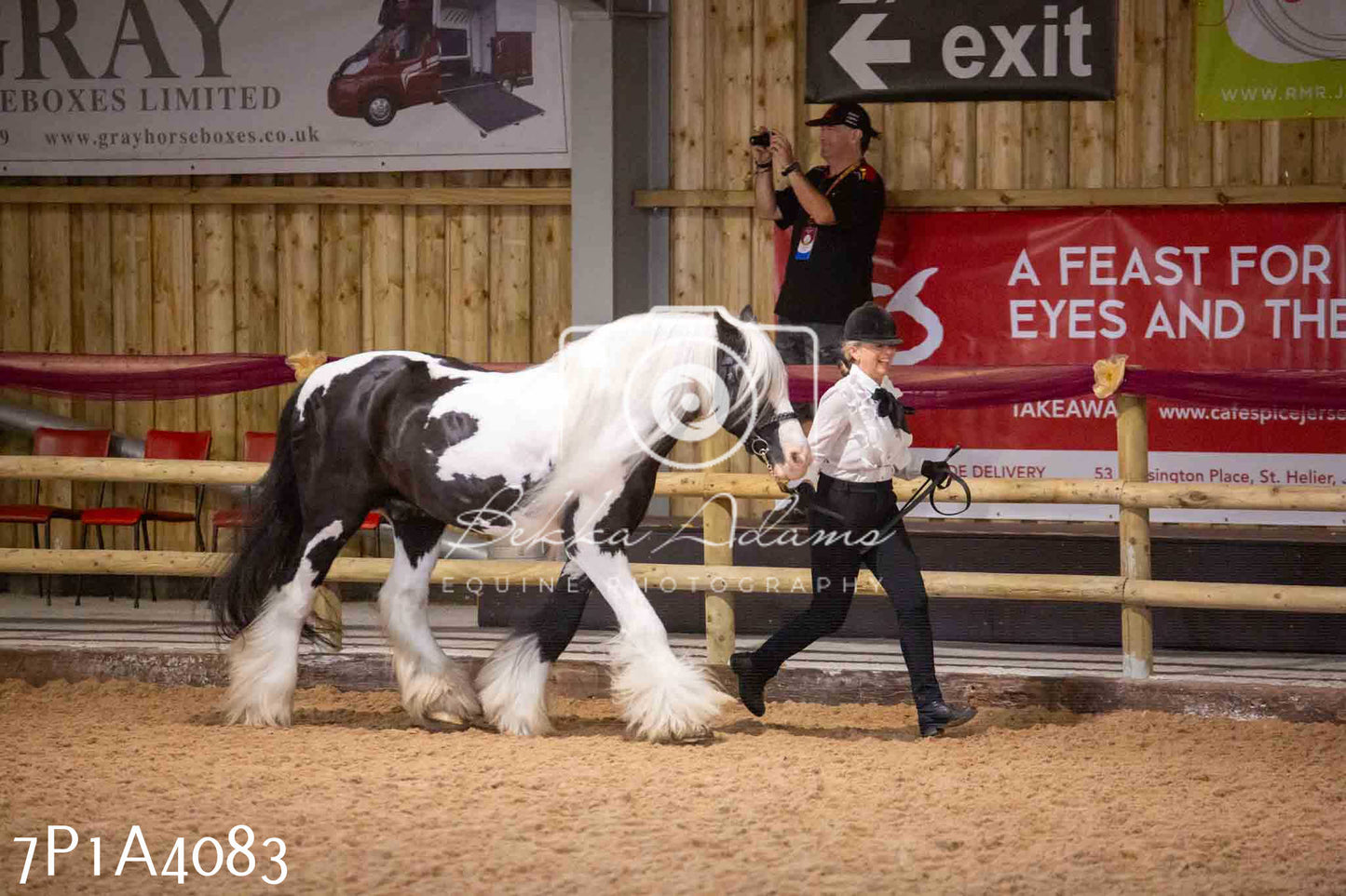 JHOYS 2023 - 9th September - Inhand Showing Pt 1