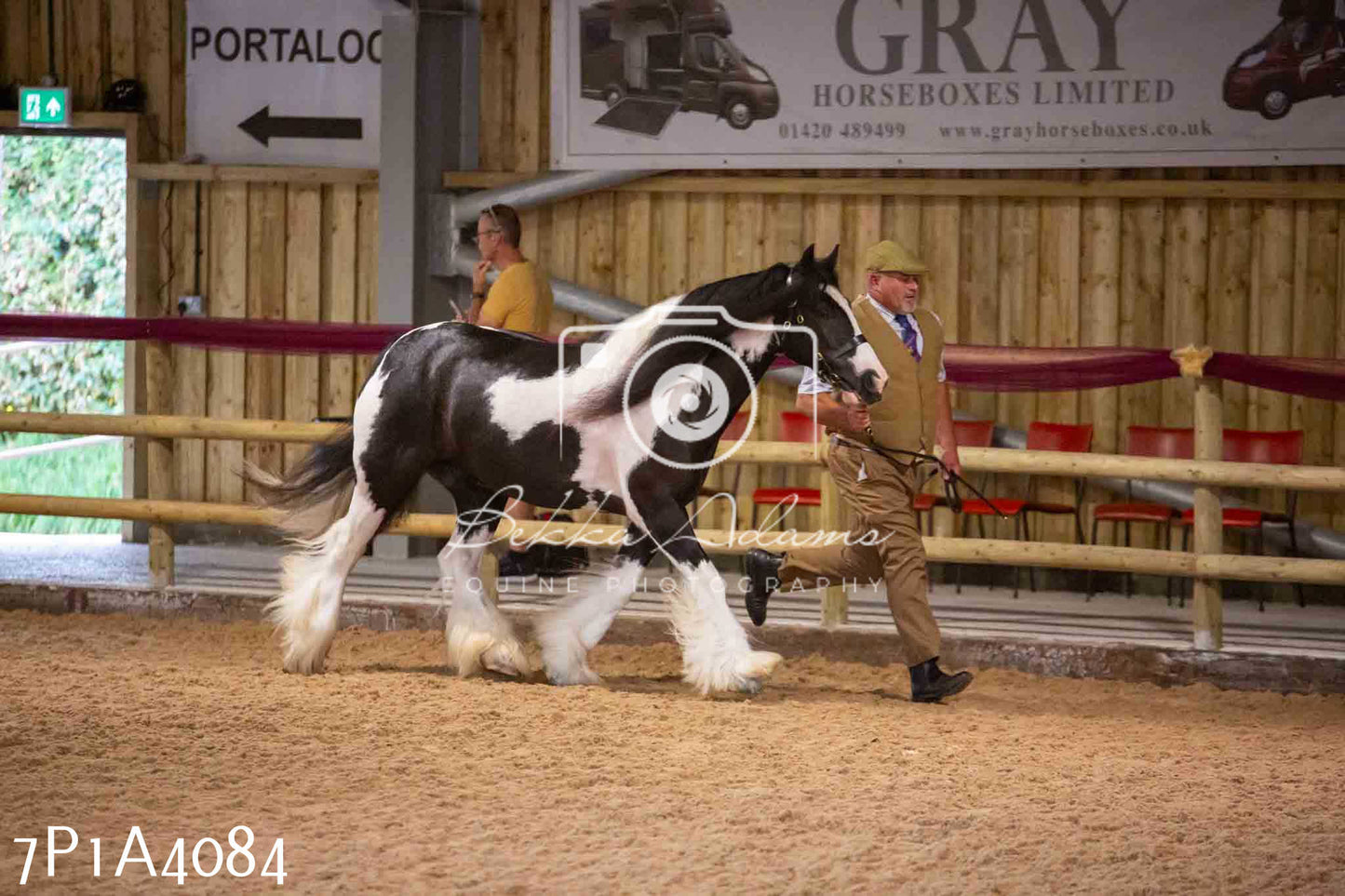 JHOYS 2023 - 9th September - Inhand Showing Pt 1