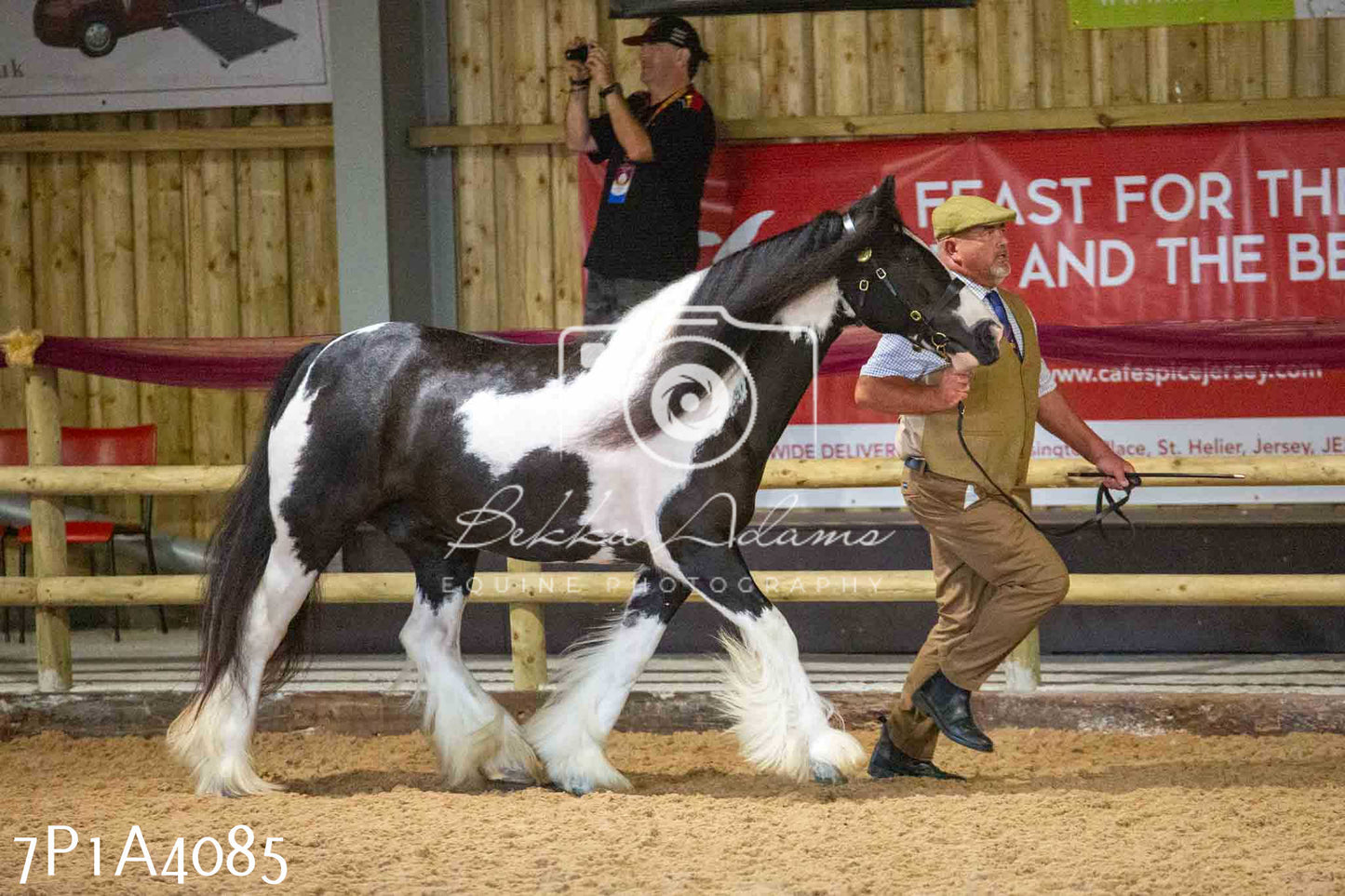 JHOYS 2023 - 9th September - Inhand Showing Pt 1