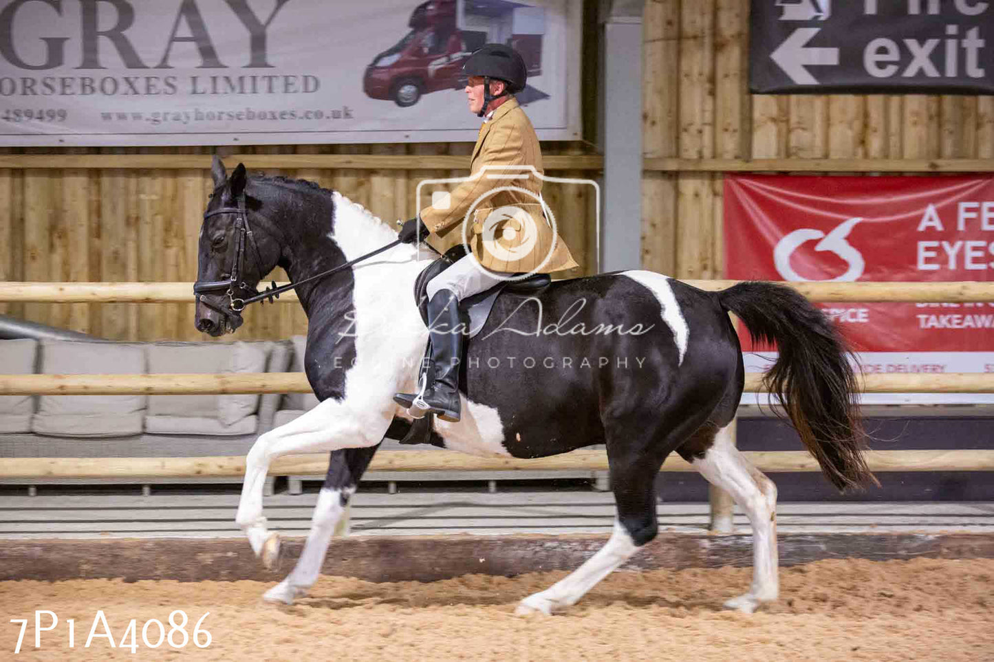 Home Farm Funshine Show 2024 - Ridden Showing 15th September pt2