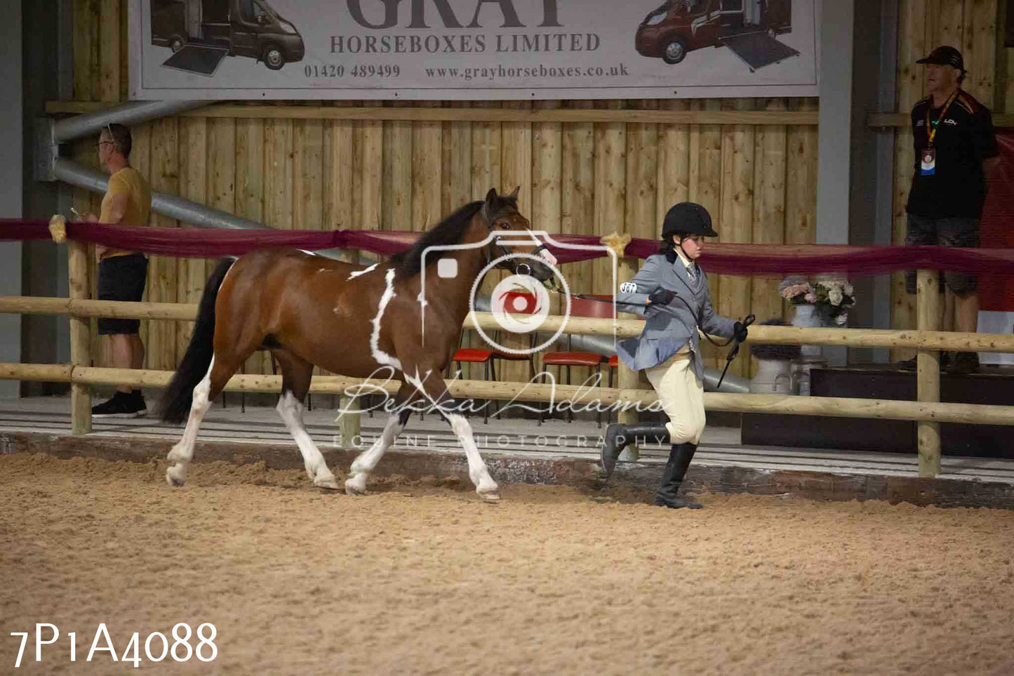 JHOYS 2023 - 9th September - Inhand Showing Pt 1